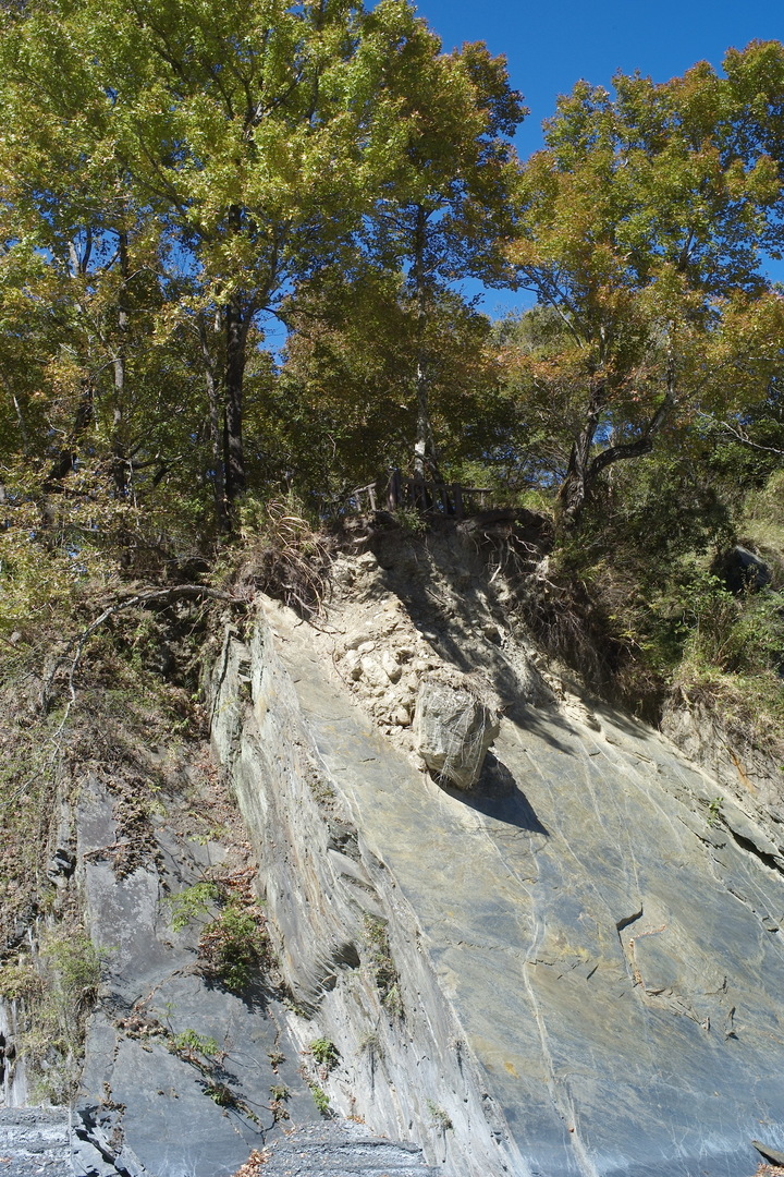 奧萬大國家森林遊樂區——楓紅花豔的高山河谷地景