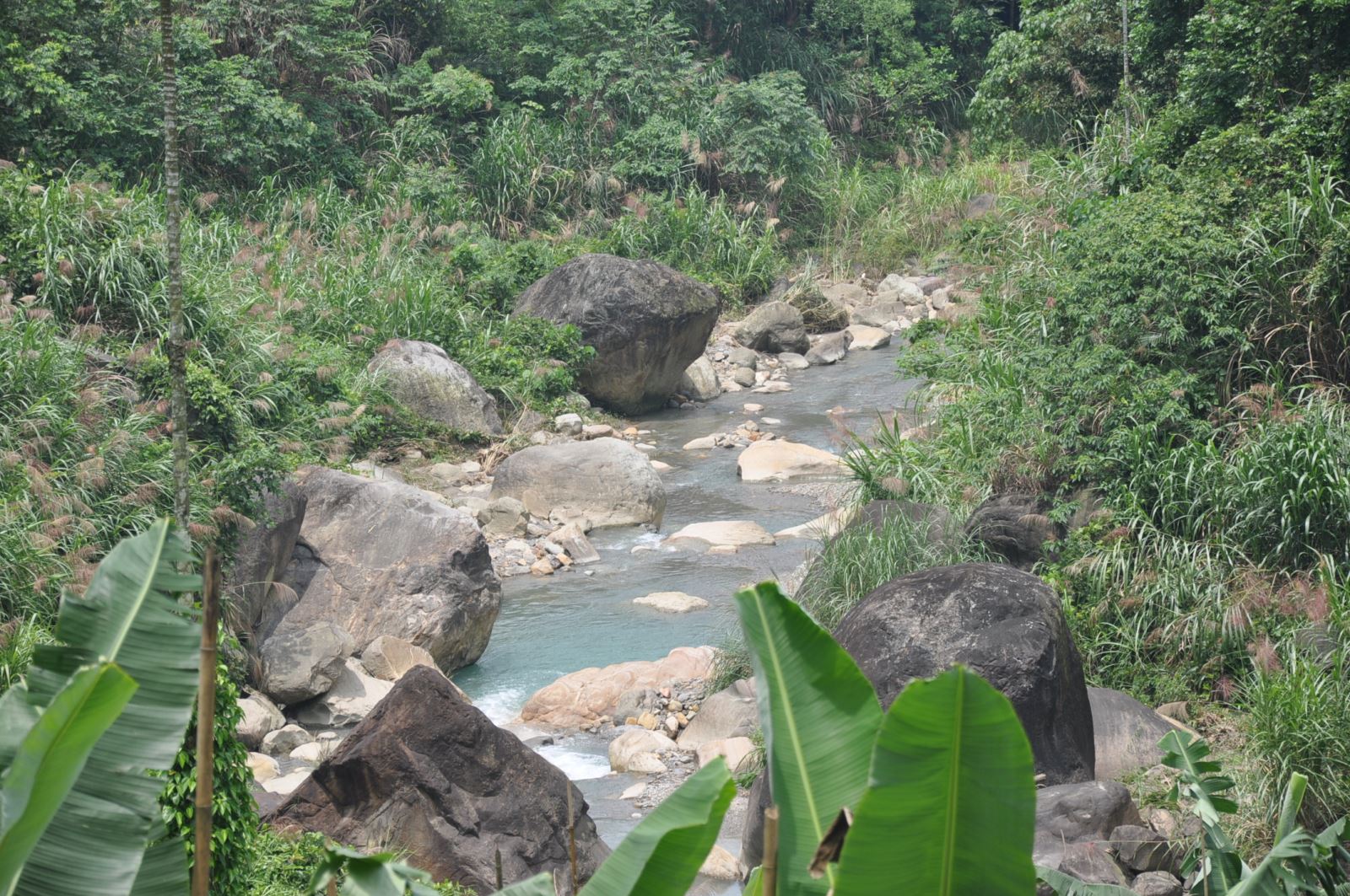 大坑凝灰岩