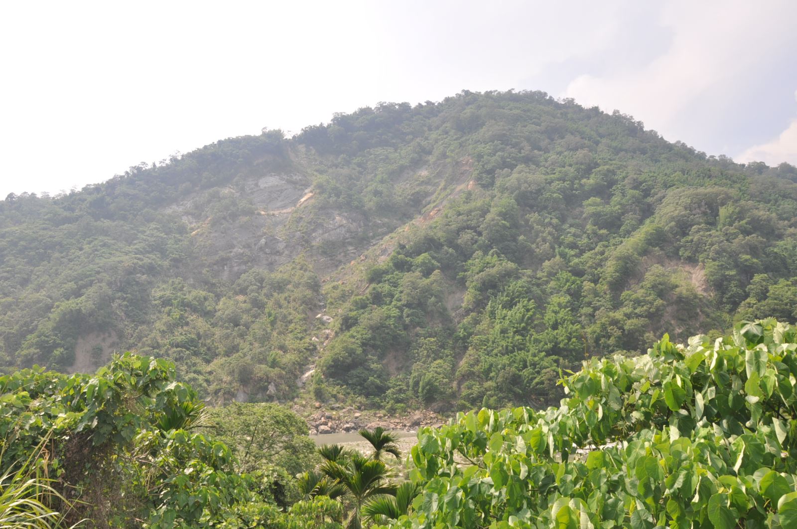 國姓鄉桂竹林層觀音山砂岩假整合