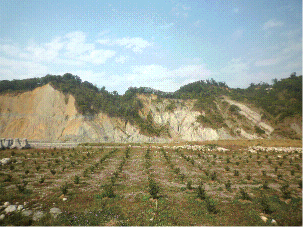 大甲溪北岸三義斷層