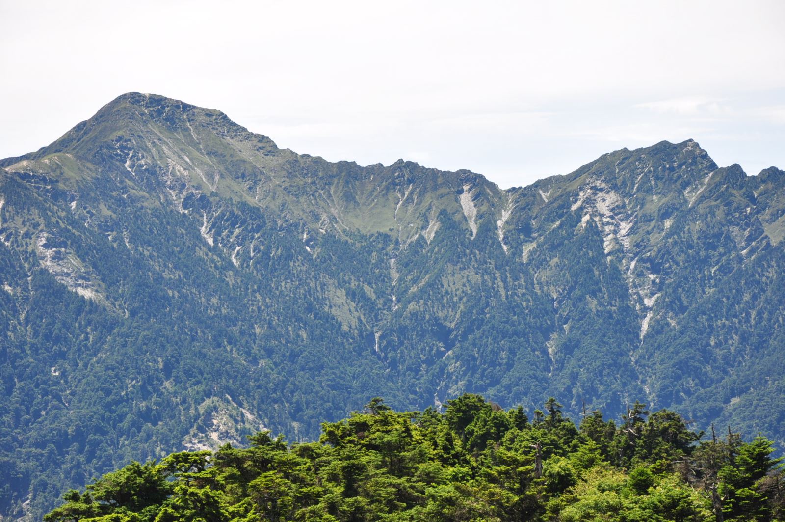 奇萊主山