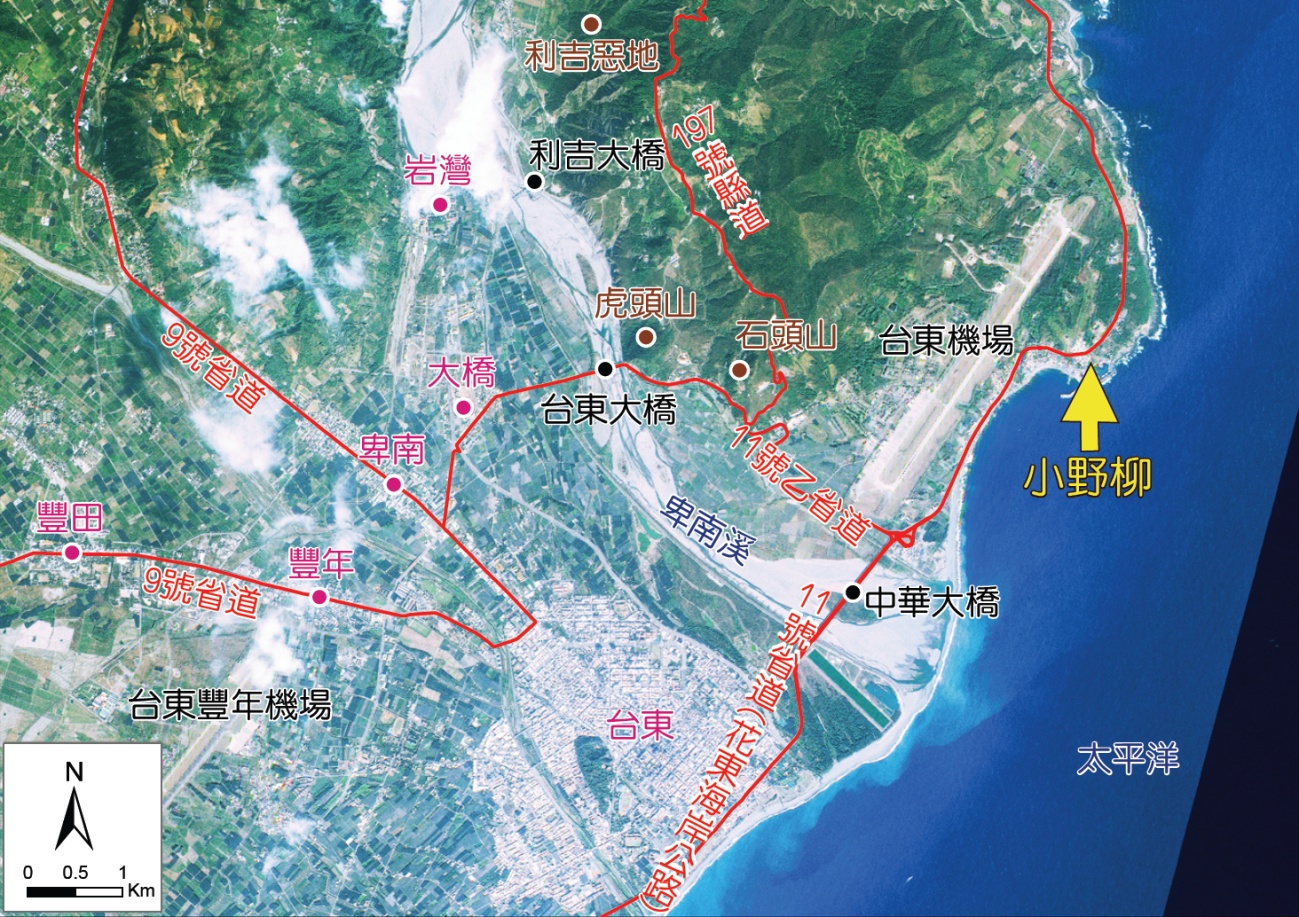 小野柳