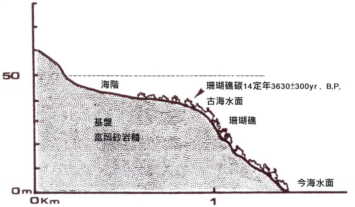 小野柳