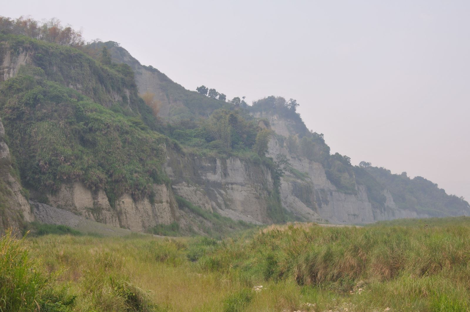 斗六丘陵小黃山