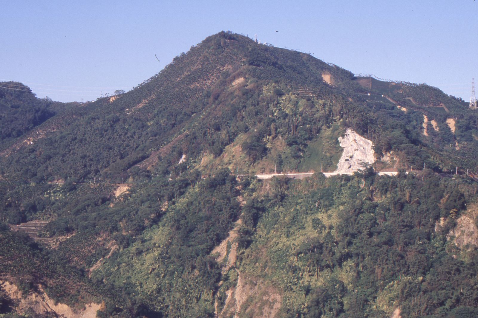 樟湖山
