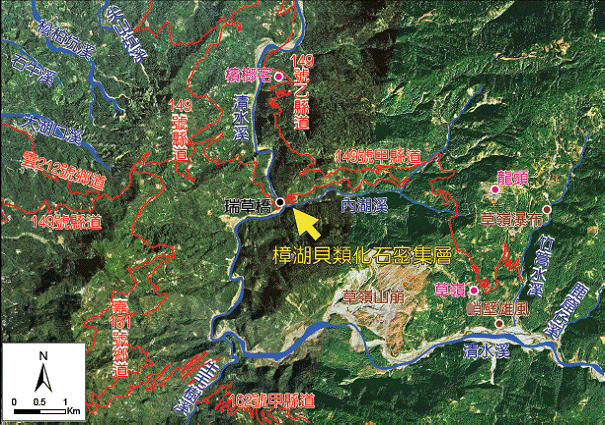 樟湖貝類化石密集層