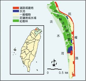 淡水河紅樹林自然保留區野外實察