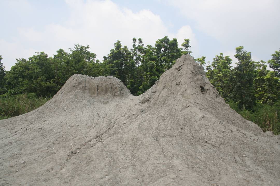 烏山頂泥火山