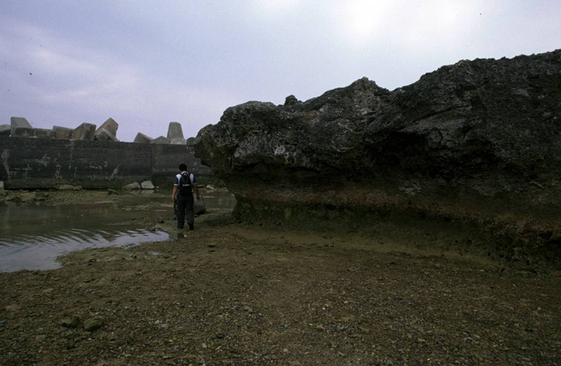 琉球嶼的海階與海蝕地形