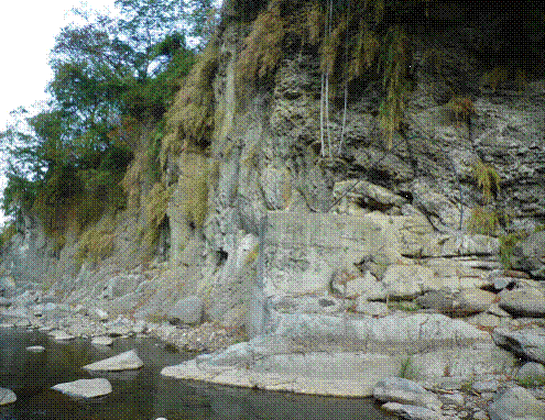 虎山褶皺