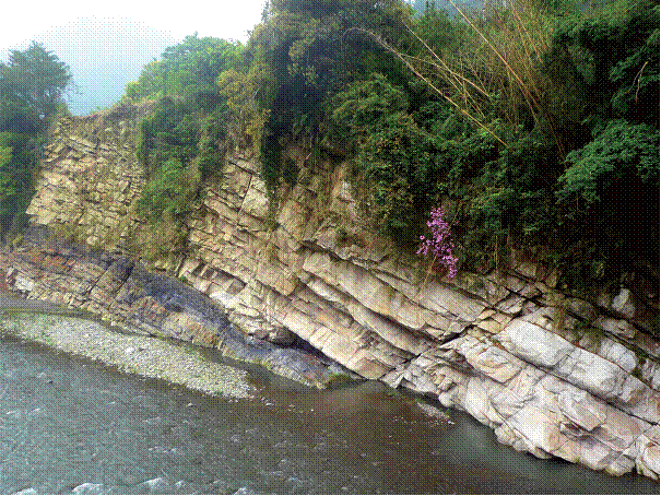 裏冷白冷層砂岩