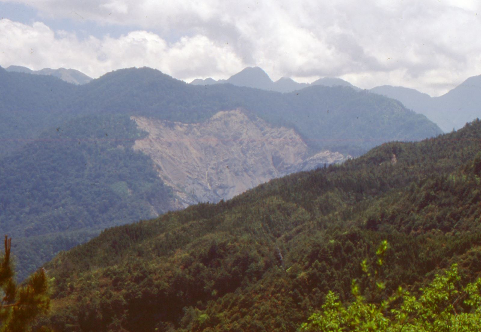 觀霧中山白冷層剖面