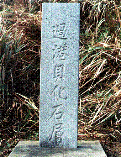 過港貝化石層