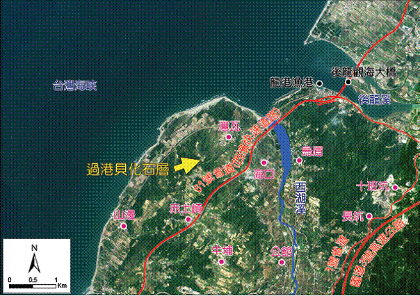過港貝化石層
